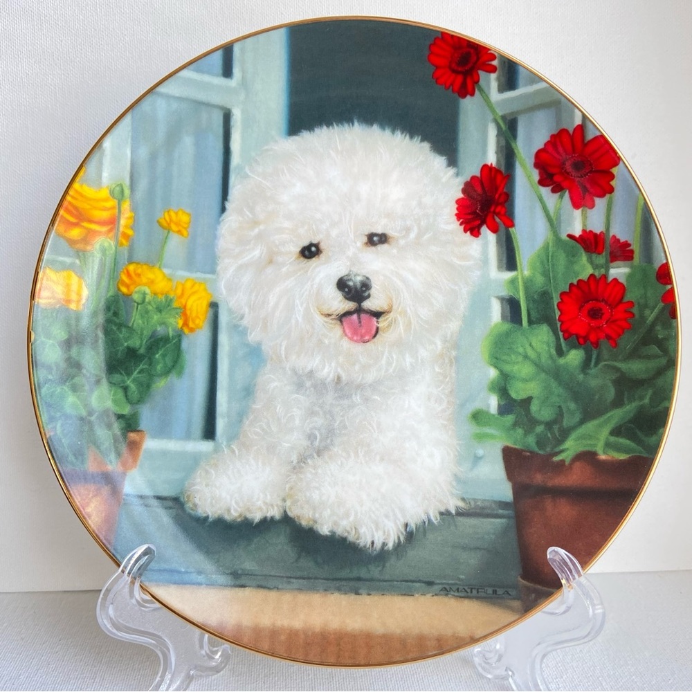Bichon Frise A Perfect View collector plate limited edition by The Danbury Mint